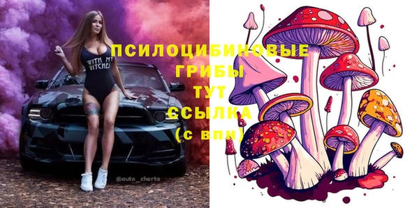 крисы Белоозёрский