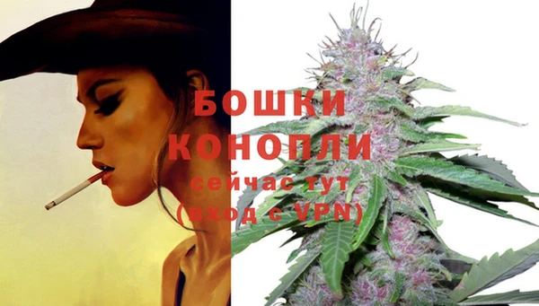 гидропоника Беломорск