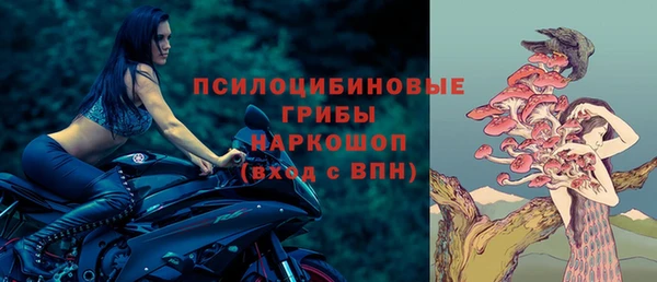 крисы Белоозёрский