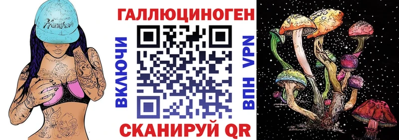 Купить закладки  Краснознаменск  Псилоцибиновые грибы Psilocybine cubensis 