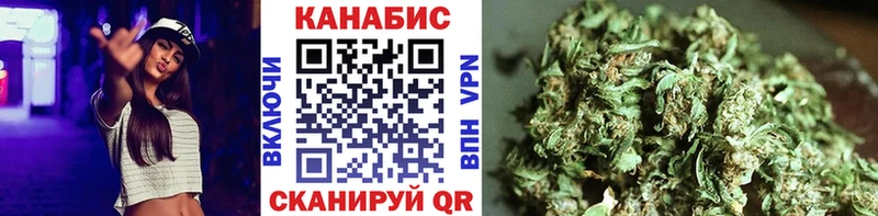 Купить  Краснознаменск  МАРИХУАНА сатива 